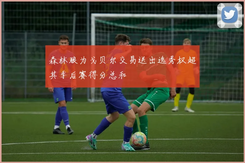 森林狼为戈贝尔交易送出选秀权超其季后赛得分总和